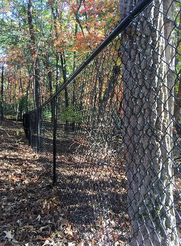 Black vinyl chain link fence installed by North Georgia Fence Company in Blue Ridge GA